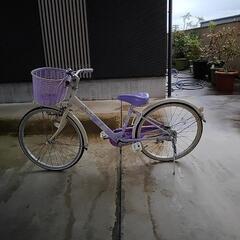 🎊😄未登録ピカピカ・22インチ、ブリジストン・エコパル（配達可能）の画像