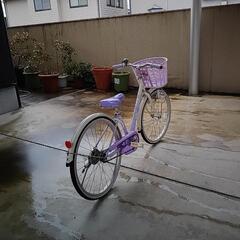 🎊😄未登録ピカピカ・22インチ、ブリジストン・エコパル（配達可能）の画像