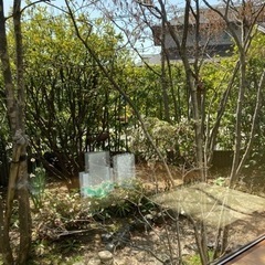 カフェ友募集します🙋‍♀️ - 福山市