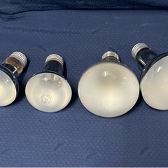 レフ電球60W2個.100W2個の画像