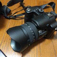 最終値下げ  LUMIX DMC-FZ50 ネオ一眼の画像