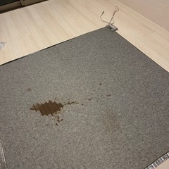 お話中 ホットカーペット シミあり 赤ワインシミ sanyo 動...