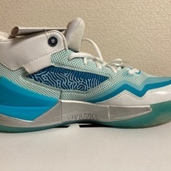 【カワイモデル】バスケットボールシューズ28cmの画像