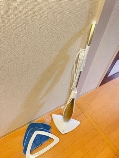 スチームクリーナー　Moosoo