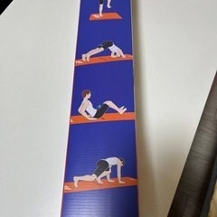 ヨガ　　リングフィットアドベンチャー専用マットの画像
