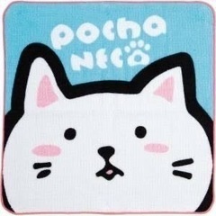 ⭐︎関東雑グルメンバー募集⭐︎