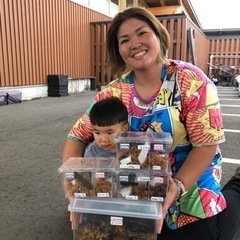 昆虫くじ（1000円）ツヤちゃんのクワガタ道の駅足柄.金太郎のふるさと店 の画像