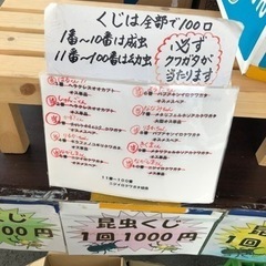 昆虫くじ（1000円）ツヤちゃんのクワガタ道の駅足柄.金太郎のふるさと店 の画像