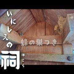 【いにしえの祠】ほこらの画像