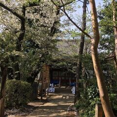植栽伐採、雑草除去、剪定なら 【植栽の緊急修理隊 船橋支店】