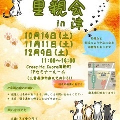 保護猫の里親会(譲渡会)in津