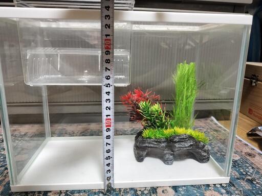 水槽（中古）値下げしました。