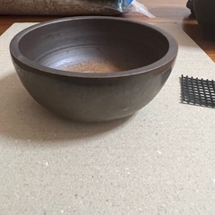 鉢①