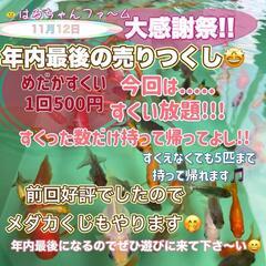はるちゃんファ～ム年内ラスト販売！ - 深谷市