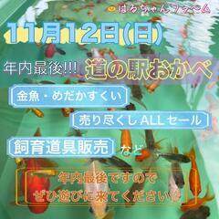 はるちゃんファ～ム年内ラスト販売！ - 展示会