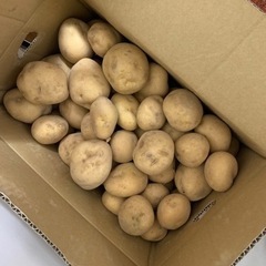 じゃがいも10kg