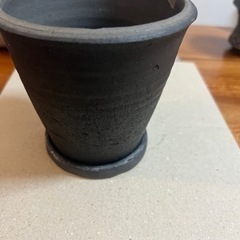 鉢⑥