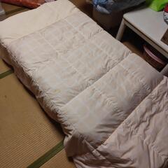 羽毛布団 中古 FranceBed（フランスベッド）羽毛布団「セレブレイト」全3サイズ