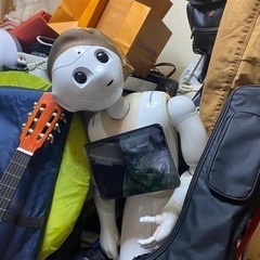 ソフトバンクペッパー
