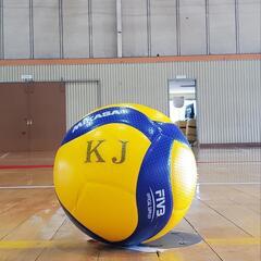 小学生4~6年生女子　バレーボール(春日井市)