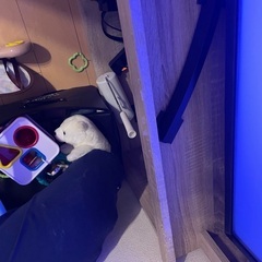 テレビ台の画像