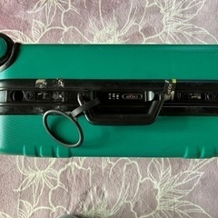 【値下げ】キャリーバッグの画像