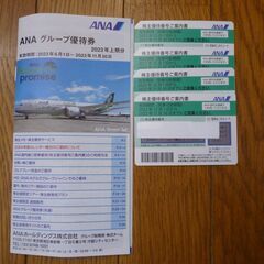 ANA株主優待券4枚＋グループ優待券（有効期限2023年11月30日）