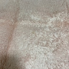 ニトリ　ラグマットの画像