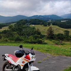TDR125(3SH)ベルガルダヤマハ 29馬力