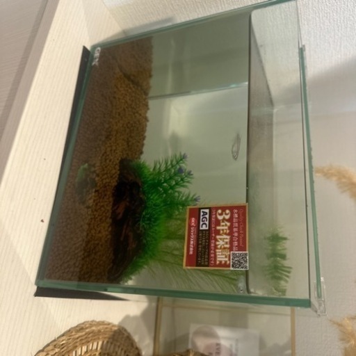 水槽