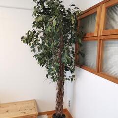 【取引決定】観葉植物インテリア（フェイクツリー）
