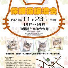 保護猫譲渡会