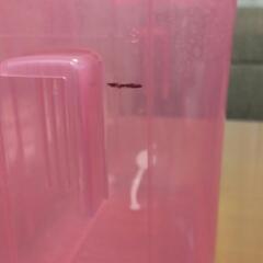 【確定】Pigeon電子レンジスチーム＆薬液消毒ケース+哺乳瓶2本の画像