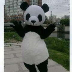 （新品未使用）パンダの全身着ぐるみの画像