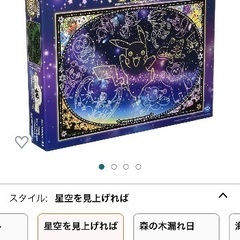ポケモンパズル1000ピース完成品➕枠付きの画像