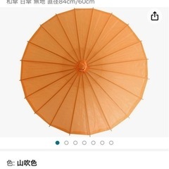 和傘 七五三 撮影