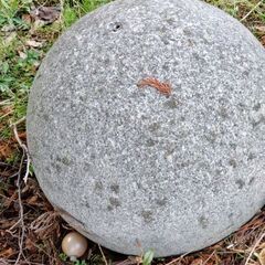 丸い球体の石の画像