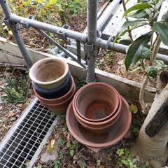 【お話中】【再】植木鉢　中古　大量の画像