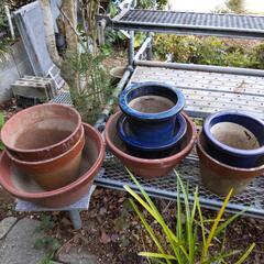 【お話中】【再】植木鉢　中古　大量の画像