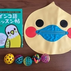 インコグッズ&本 3点セット