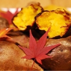 11/12(日) 古民家で秋の味覚祭✨🍠🍁🍇