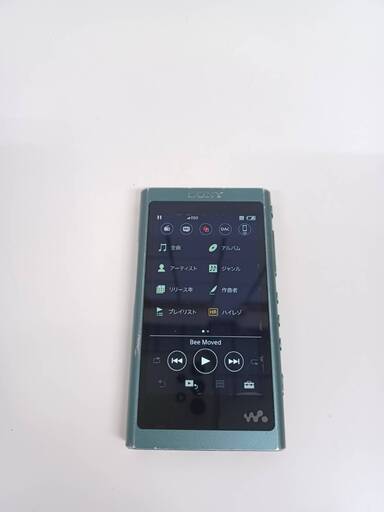 SONY ウォークマン NW-A50シリーズ/16GB