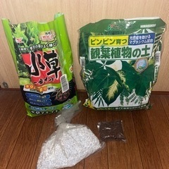 土・小石