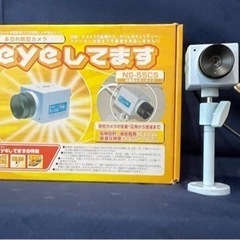 NSK小型軽量防犯カメラCCDカラー