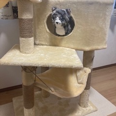 美品　ほぼ未使用キャットタワーの画像