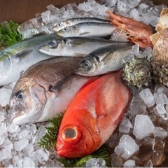 【商社の正社員/高卒OK/40万円〜】鮮魚を扱う商社のお仕事の画像