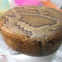 A10現品販売 11.000円 蛇皮強化(二重張)型チーガ(三線胴) 貴方