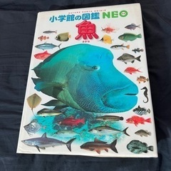 魚図鑑　