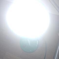 ✰取引完了✰🌟NEC 電球の画像