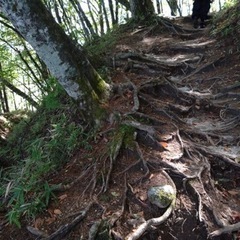 11月21日平日登山会奥多摩御岳山